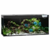Juwel Aquarium Rio 450 Led 151x51x66 Cm Aquaria Zwart Ca. 450