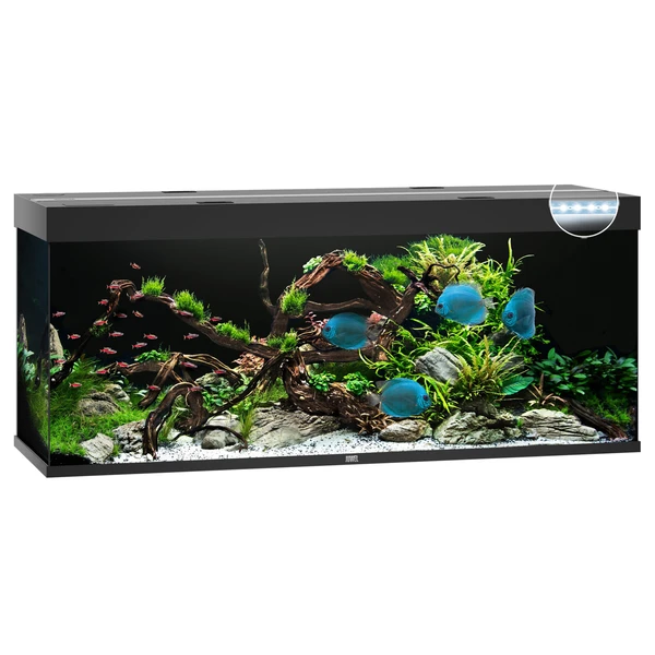 Juwel Aquarium Rio 450 Led 151x51x66 Cm Aquaria Zwart Ca. 450