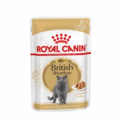 Royal Canin British Shorthair Adult Kattenvoer Bestel Ook Natvoer 12 X 85 G British Shorthair