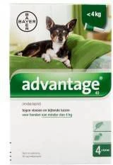 Advantage 2 X 4 Pipetten Â, ®, 40 Voor Honden Van Minder Dan 4 Kg Dubbelpak - Afbeelding 3