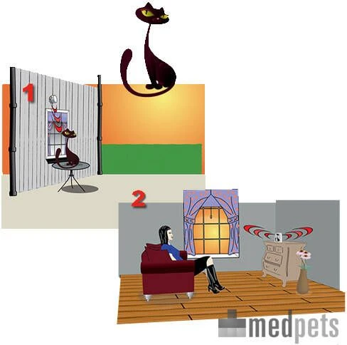 Overig InnovAdvance Kattendeurbel 50 M Wit 78110121 - Afbeelding 4