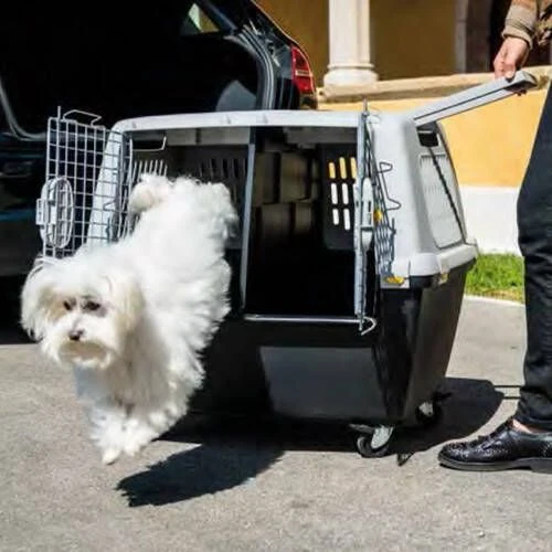 KERBL TRIXIE L 104 X B 73 X H 75 Cm Hondenbench Kunststof Gulliver - Afbeelding 6