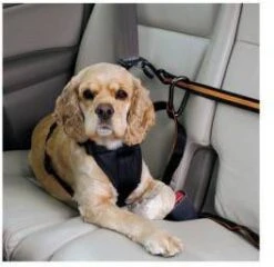 WOHI Kurgo Zipline Voor In De Auto Met Band