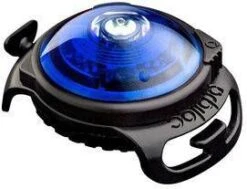 Cstore Orbiloc Veiligheidslicht Blauw Voor Honden