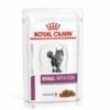 Royal Canin Veterinary Renal With Fish Zakjes Kattenvoer 2 Dozen(24 X 85 Gr )