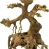 SuperFish Bonsai Driftwood Aquarium Ornament