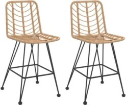 VidaXL Barkrukken 2 St 45x56x103, 5 Cm Pe Ratten En Staal