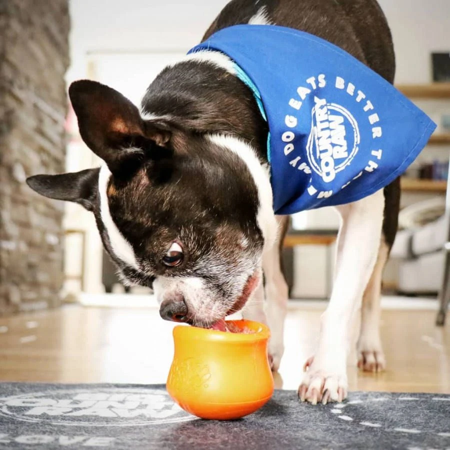 West Paw Hondenspeelgoed Met Zogoflex Toppl S Mandarijnoranje - Afbeelding 4